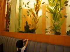 -Acqua海蓝意大利餐厅