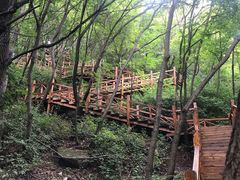-大岭沟猕猴桃谷风景区