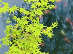 -北山街历史文化街区