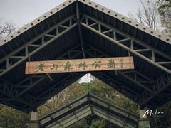 -老山国家森林公园