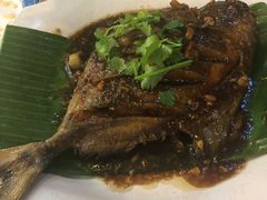 -大树下海鲜饭店