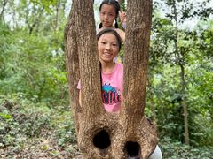 -上海佘山国家森林公园天马山园