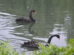 -长白岛森林公园