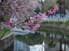 -莫愁湖公园