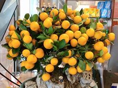 -恩宁刘福记(东华东路店)