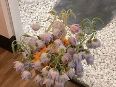 -小银家日式简餐(中信丹阳花园店)