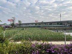 -新地休闲农场
