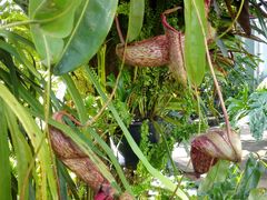 -国家植物园南园