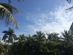 亚龙湾红树林度假酒店-三亚亚龙湾红树林度假酒店