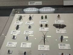 -四川大学博物馆