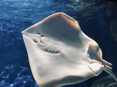 -福州罗源湾海洋世界旅游区