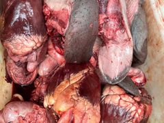 -青石桥市场北1-27号