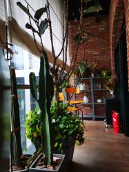 -THE BARN大屋理发馆