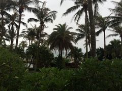 iphone_upload_pic-垦丁凯撒大饭店