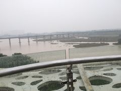 -西安浐灞国家湿地公园