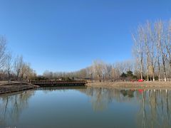 -东郊湿地公园