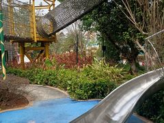 -美的鹭湖探索王国