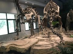 -自贡恐龙博物馆