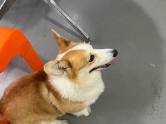 -LaFBagel手作烘焙工作室