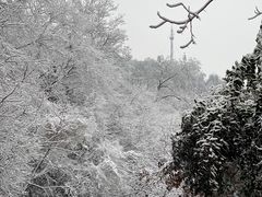 -紫金山天文台