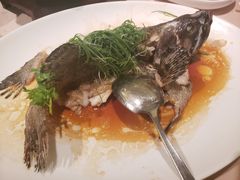 -金苑海鲜酒家(来魅力店)