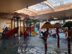 -陆地游轮吉林神农温泉