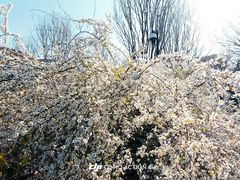 -中国茶叶博物馆(双峰馆区)