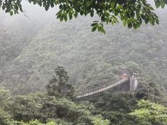 -娄山关景区