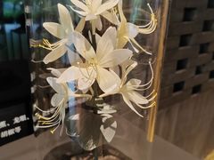 -云溪植物园