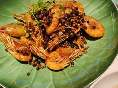 -桂满陇·海市蜃楼·黑金(国金店)