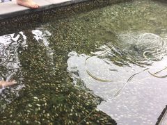 -融汇温泉