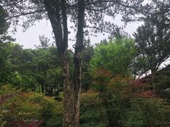 -上海方塔园