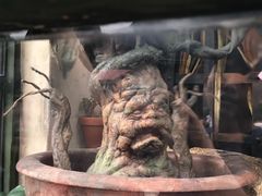 -哈利波特魔法世界