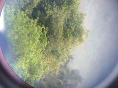 iphone_upload_pic-三亚南山迎宾馆