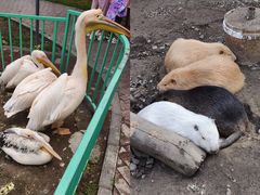 -水上乐园·欢乐世界