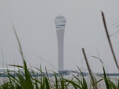 -吴淞炮台湾湿地森林公园烧烤区