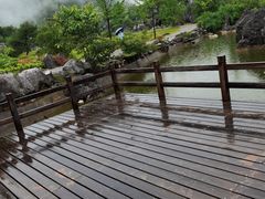 -千岛湖石林