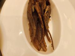 -上海金桥红枫万豪酒店-万豪中餐厅