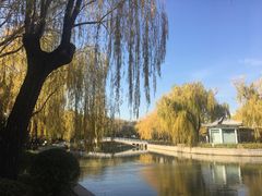 -青年湖公园水上世界