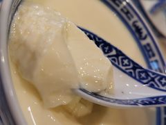 招牌姜撞奶-捷信牛奶甜品世家(五道口店)