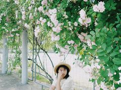 -无锡新湖铂尔曼大酒店