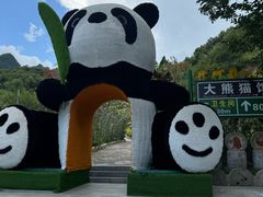 -栾川竹海野生动物园