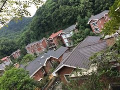 -南山植物园
