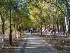 -南翠屏公园