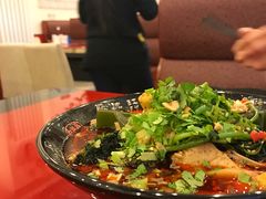 -四川简阳羊肉汤火锅(望花路西里店)