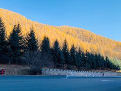 -塞罕坝国家级自然保护区