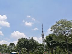 -文华公园(禅城区)