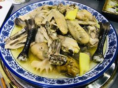 -金龙·打边炉(武进路店)