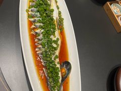 -沪碟·精菜坊(闵行店)