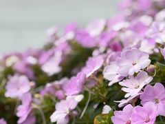 -广州市纺织服装职业学校